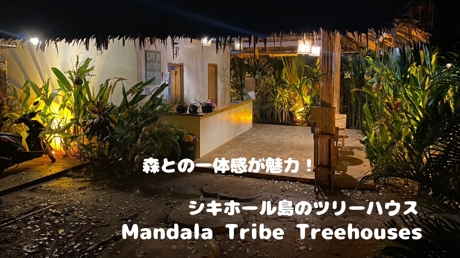 森との一体感が魅力！シキホール島のおすすめホテル　Mandala Tribe Treehouses